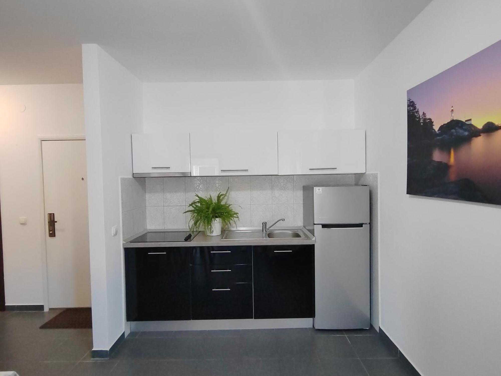 Apartment Zatonka 2 Затон Екстер'єр фото